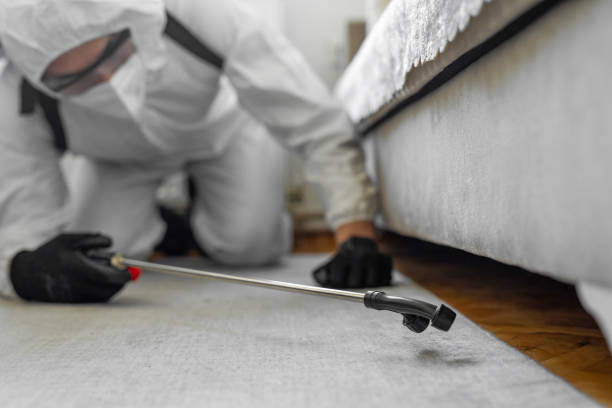 Professional Bed Bug Control technician working in Leesburg, FL